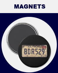 BDR529 Magnets